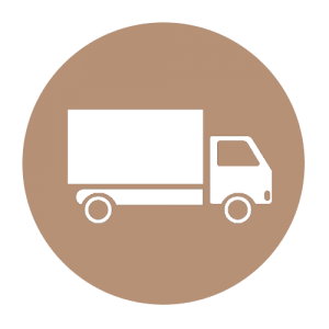 Envio-a-domicilio-icono