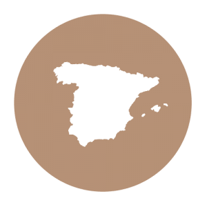 Fabricado-en-España-icono