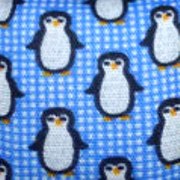 Pingu